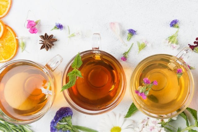 Perfect Teas for Every Time of Day: Morning, Afternoon, Night - Camellios