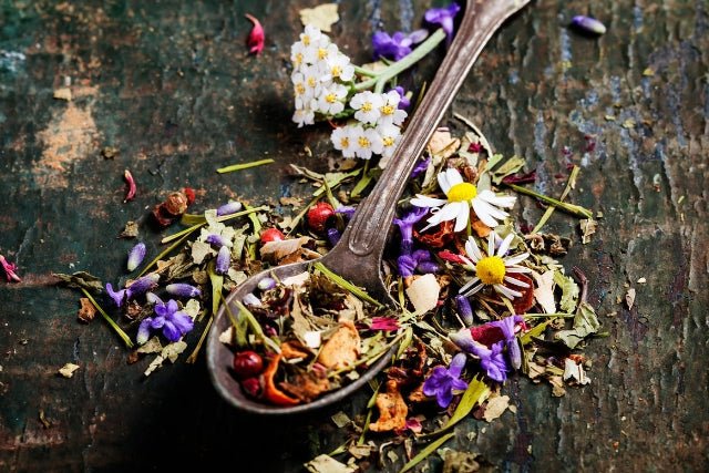 Top Varieties of Herbal Tea and Their Health Benefits - Camellios