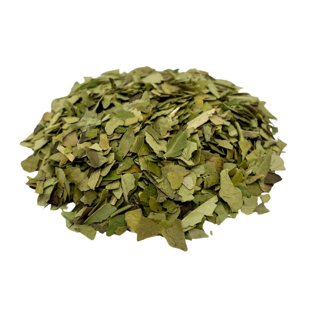 Yerba Mate - Loose Leaf - Camellios